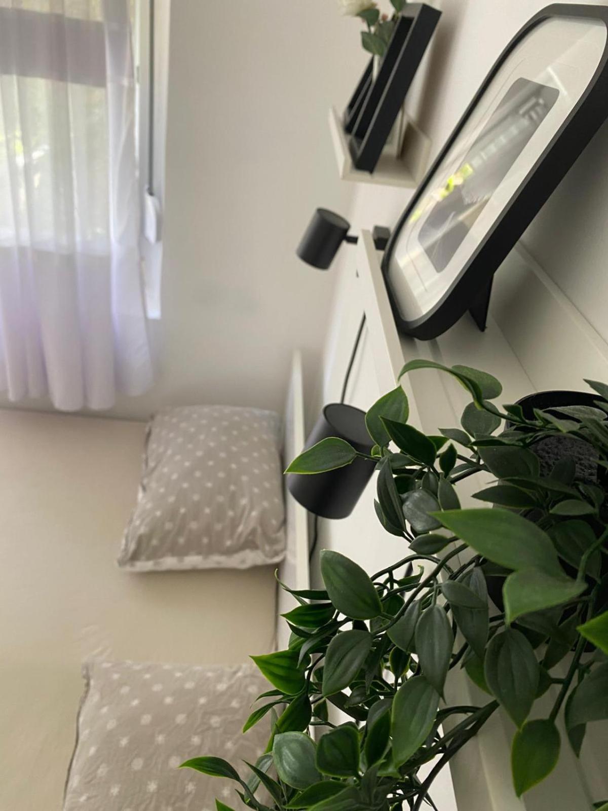 Urban Oasis Apartment Sajmiste Exterior photo